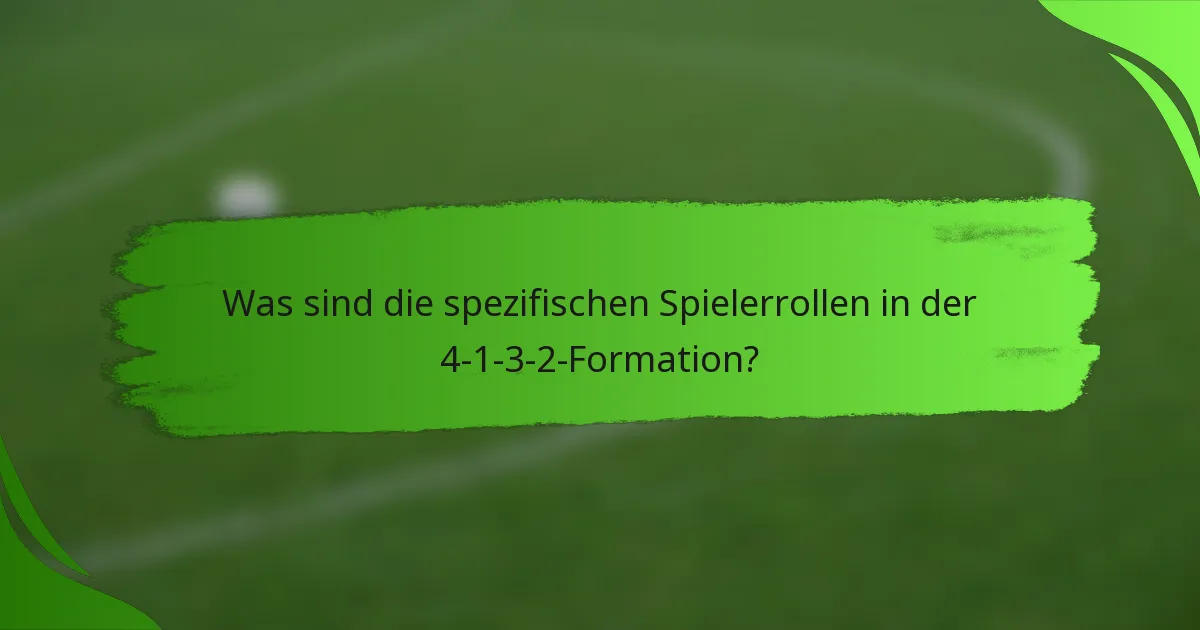 Was sind die spezifischen Spielerrollen in der 4-1-3-2-Formation?